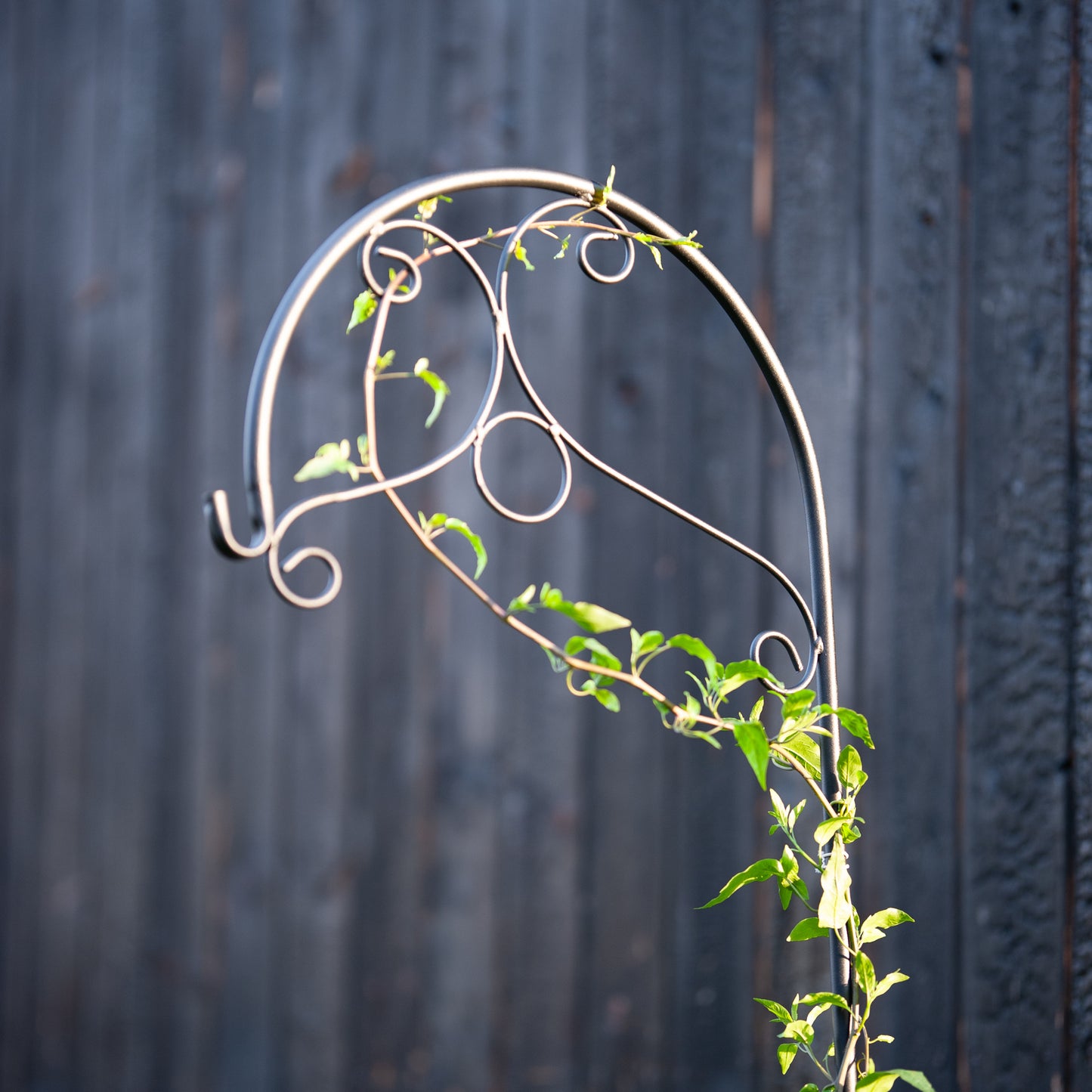 Decorative Black Metal Hanging Plant Bracket – Wall or Ground Mount, Powder-Coated or Rust Finish