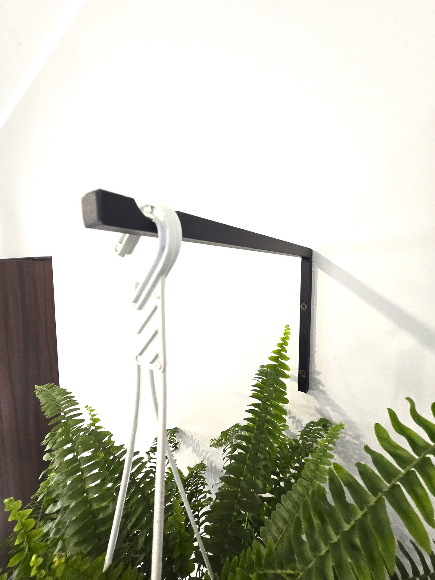 Industrial Black Wall Plant Hanger, Modern Hanging Planter Hook, Powder-Coated Steel Plant Holder