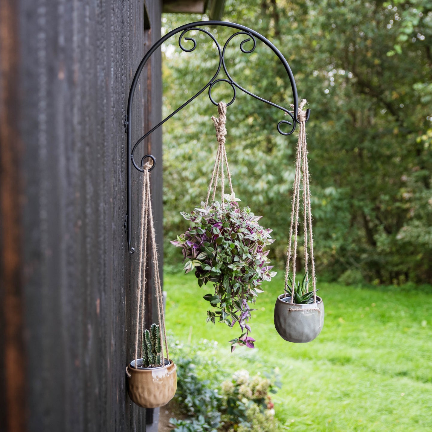 Decorative Black Metal Hanging Plant Bracket – Wall or Ground Mount, Powder-Coated or Rust Finish