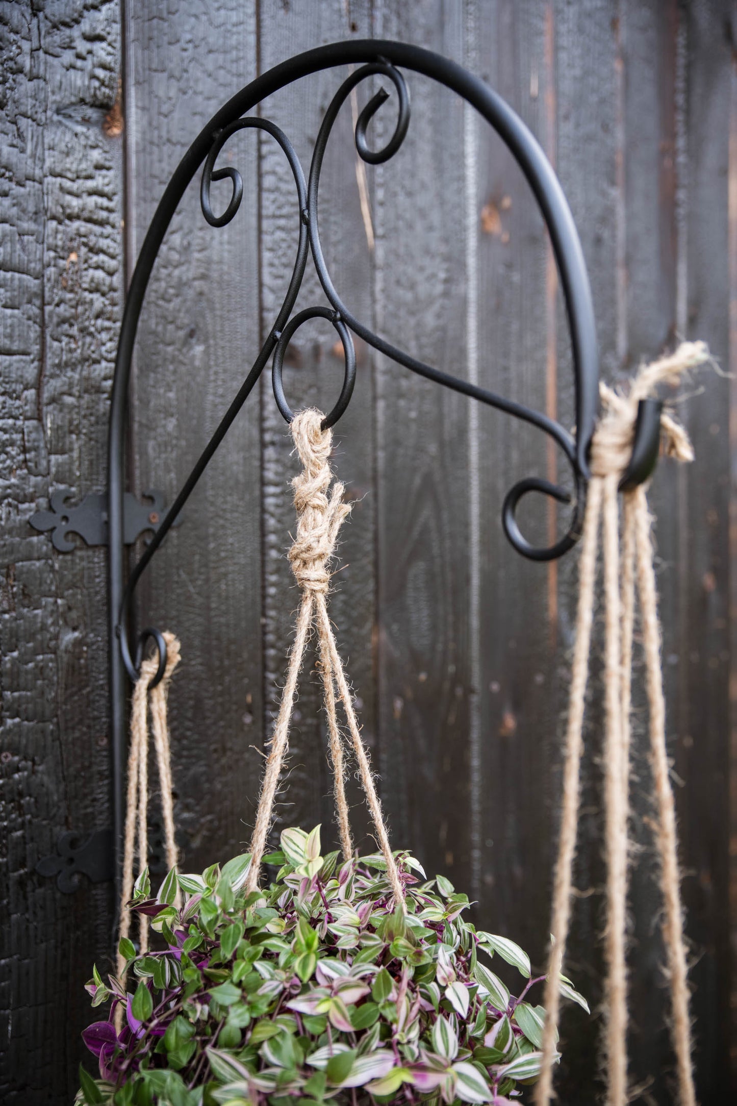 Decorative Black Metal Hanging Plant Bracket – Wall or Ground Mount, Powder-Coated or Rust Finish