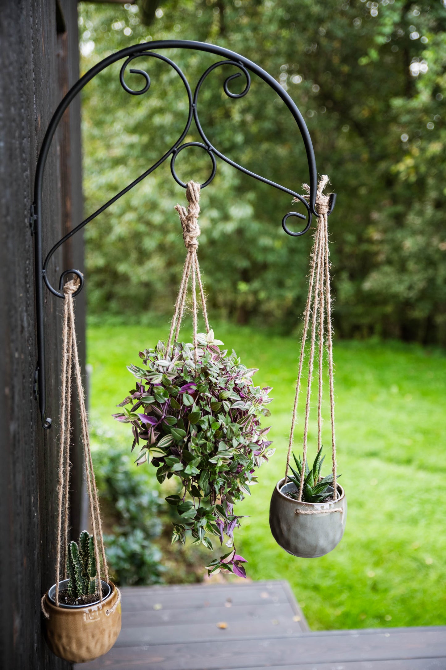 Decorative Black Metal Hanging Plant Bracket – Wall or Ground Mount, Powder-Coated or Rust Finish