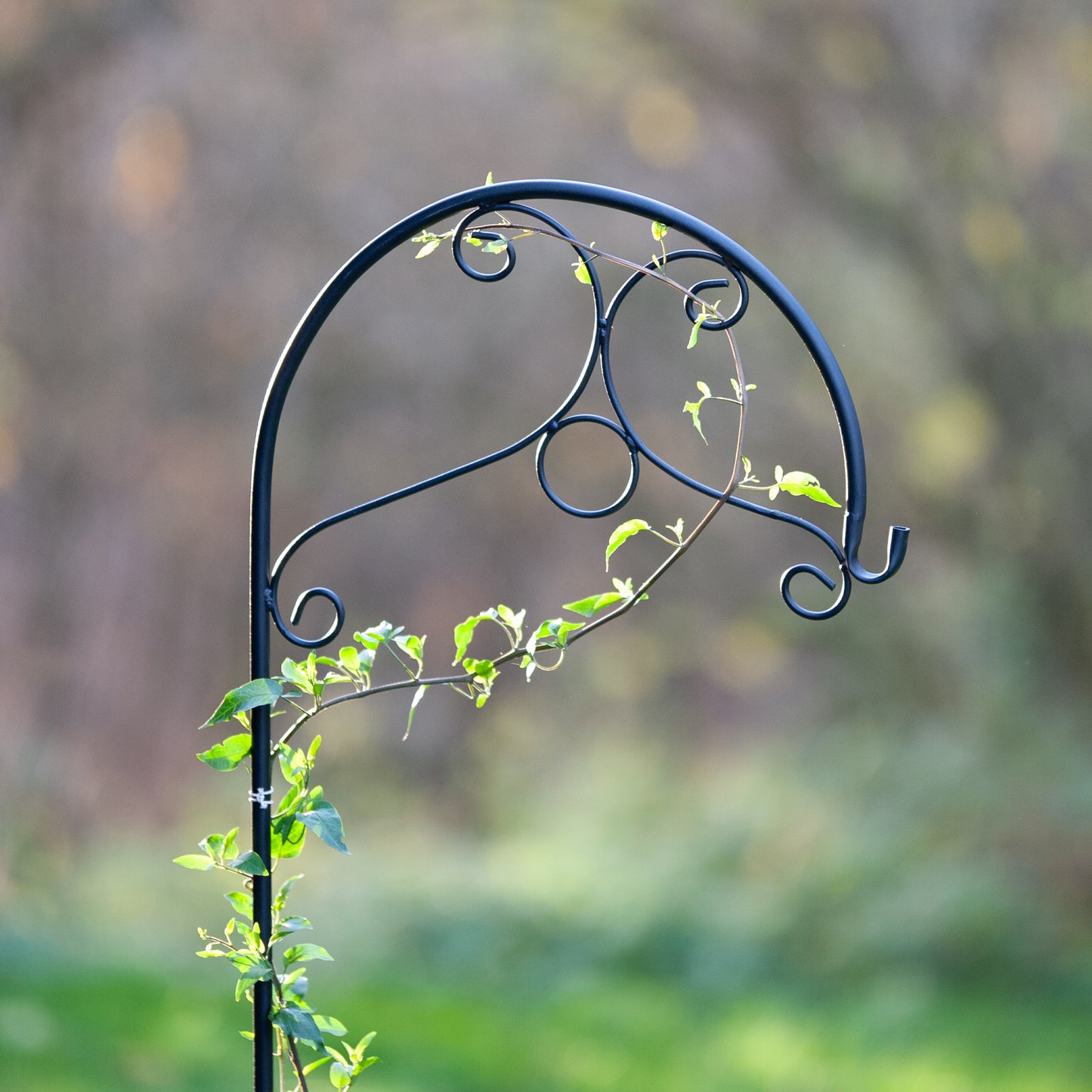 Decorative Black Metal Hanging Plant Bracket – Wall or Ground Mount, Powder-Coated or Rust Finish