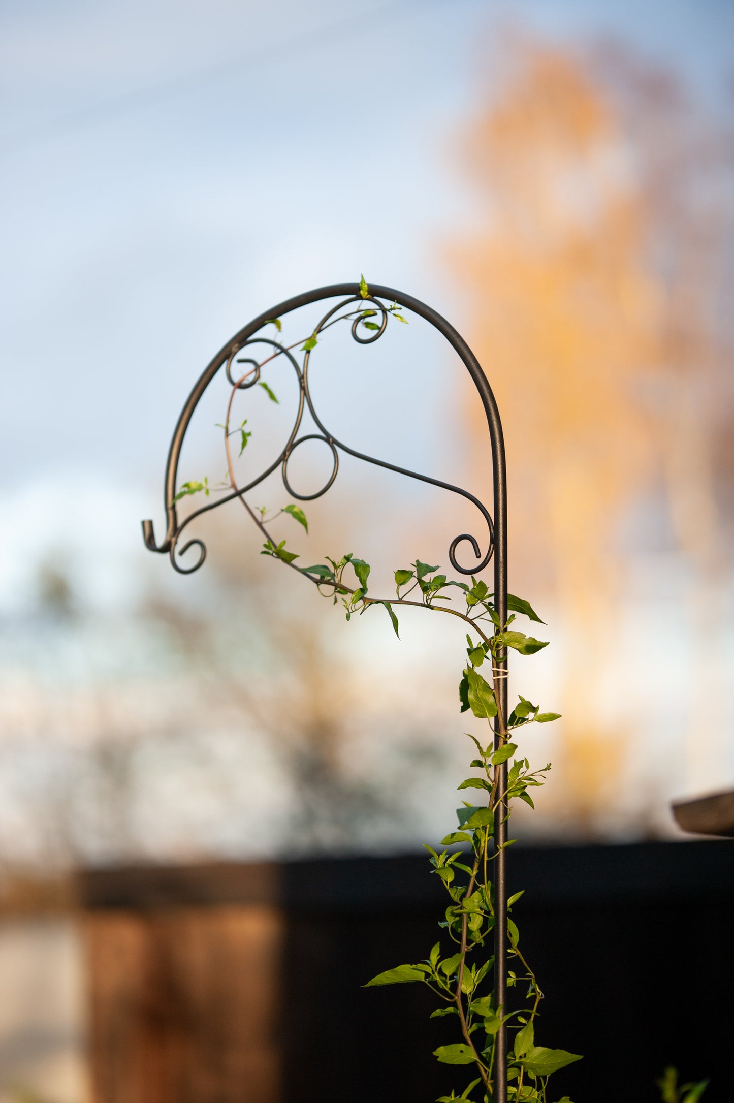 Decorative Black Metal Hanging Plant Bracket – Wall or Ground Mount, Powder-Coated or Rust Finish