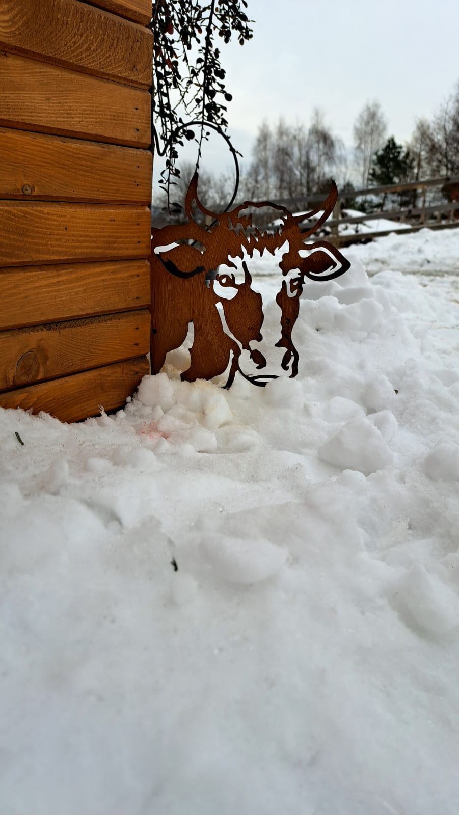 Rustic Metal Cow or Bull Silhouette Garden Stake – Weathered Corten Steel Farmyard Decor