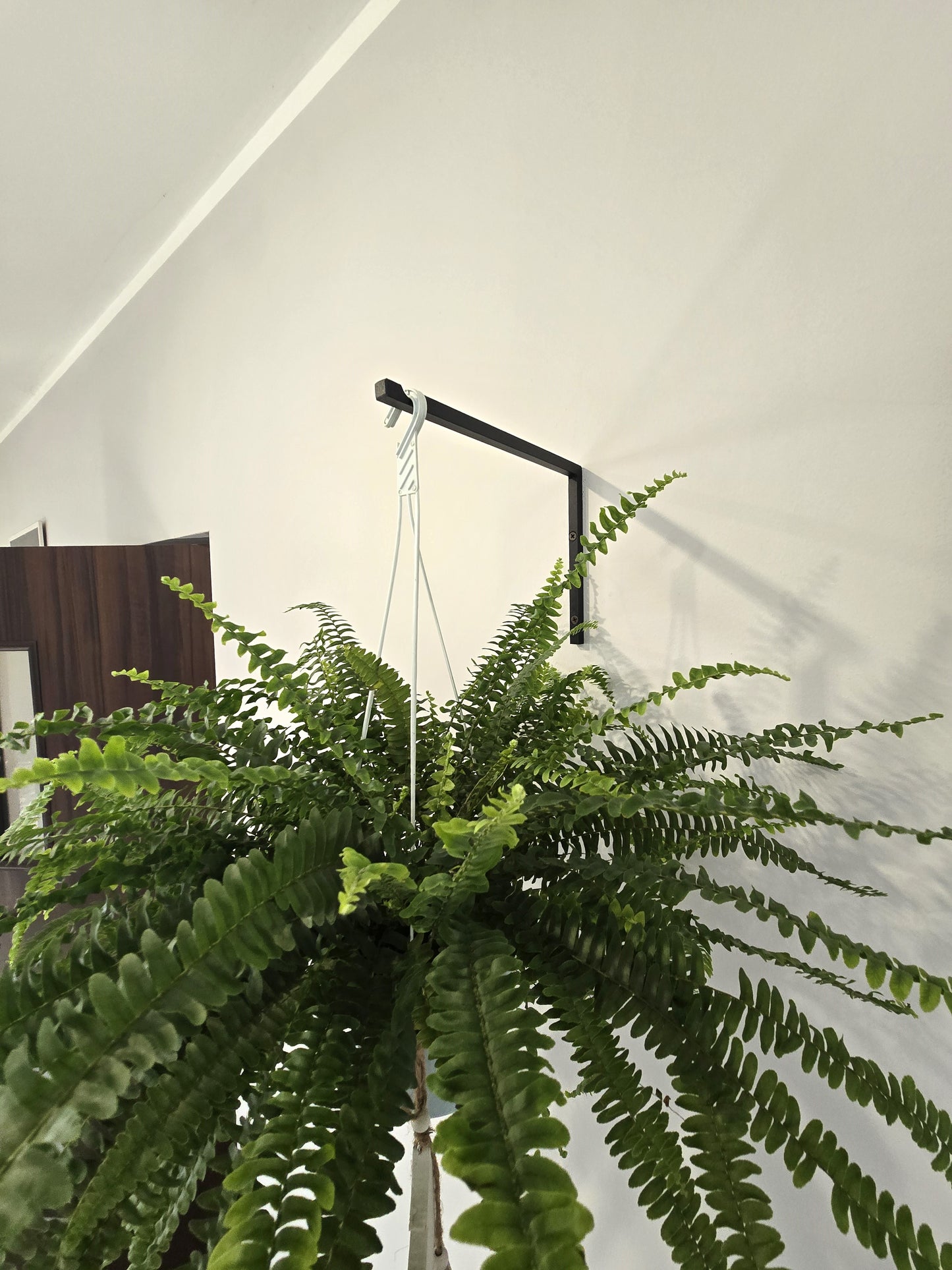 Industrial Black Wall Plant Hanger, Modern Hanging Planter Hook, Powder-Coated Steel Plant Holder