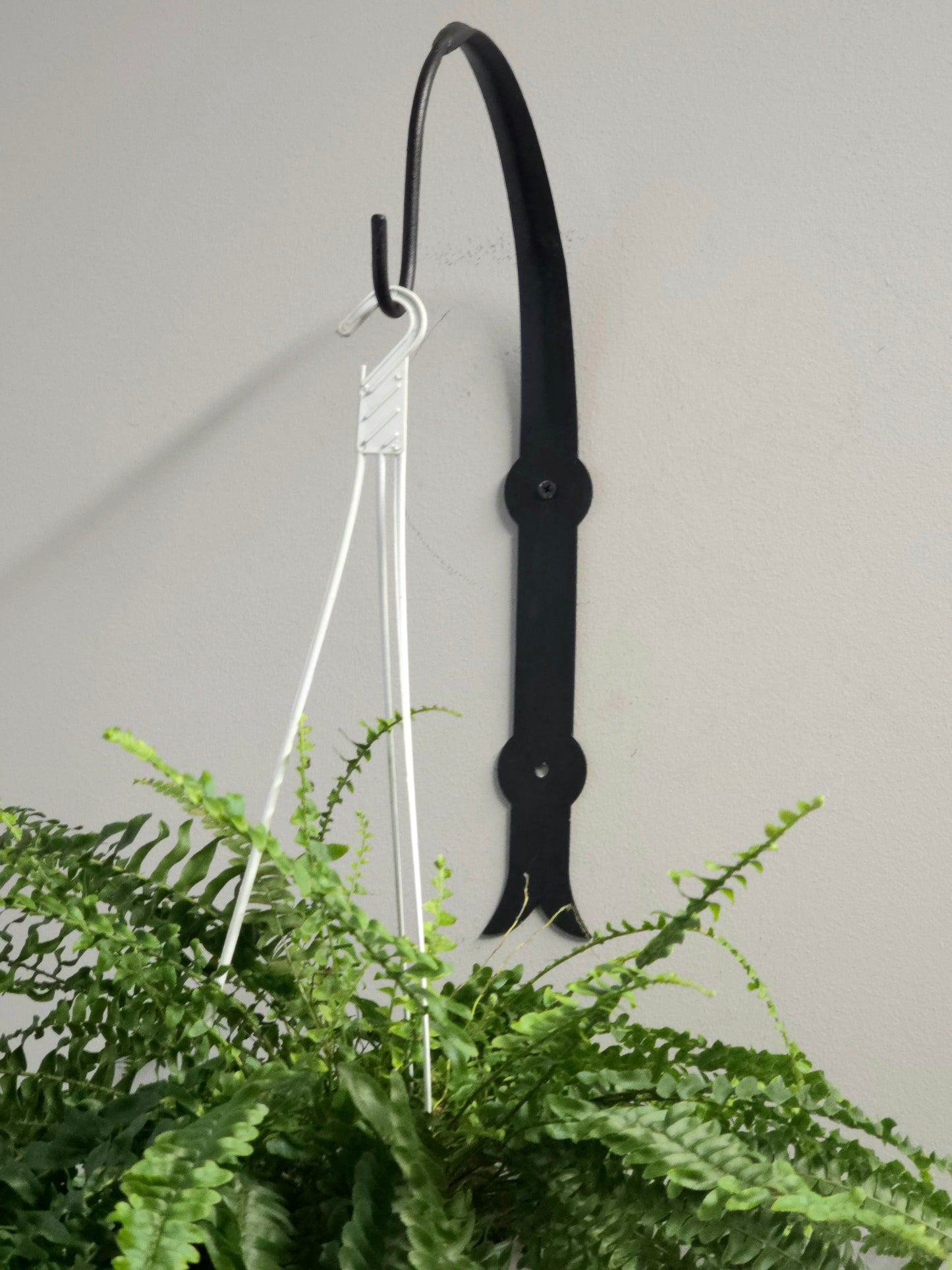 Industrial Black Wall Plant Hanger, Modern Hanging Planter Hook, Powder-Coated Steel Plant Holder