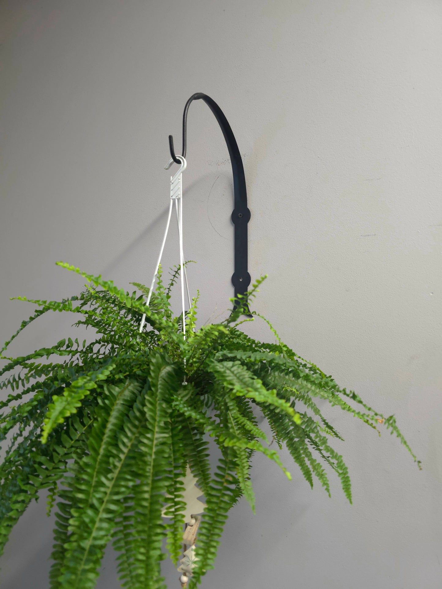 Industrial Black Wall Plant Hanger, Modern Hanging Planter Hook, Powder-Coated Steel Plant Holder