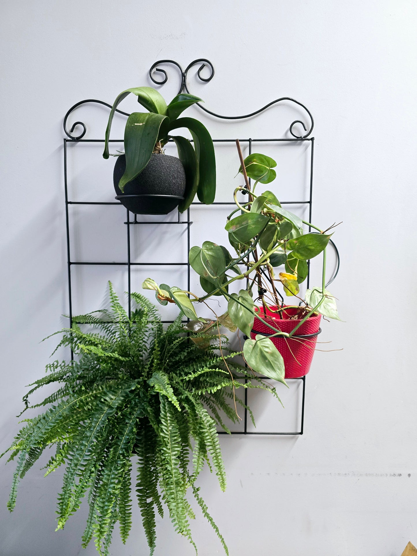 Black Steel Wall Grid Plant Holder, Vertical Garden Trellis with Pot Holders