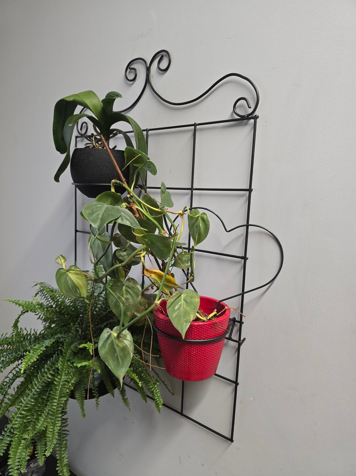 Black Steel Wall Grid Plant Holder, Vertical Garden Trellis with Pot Holders