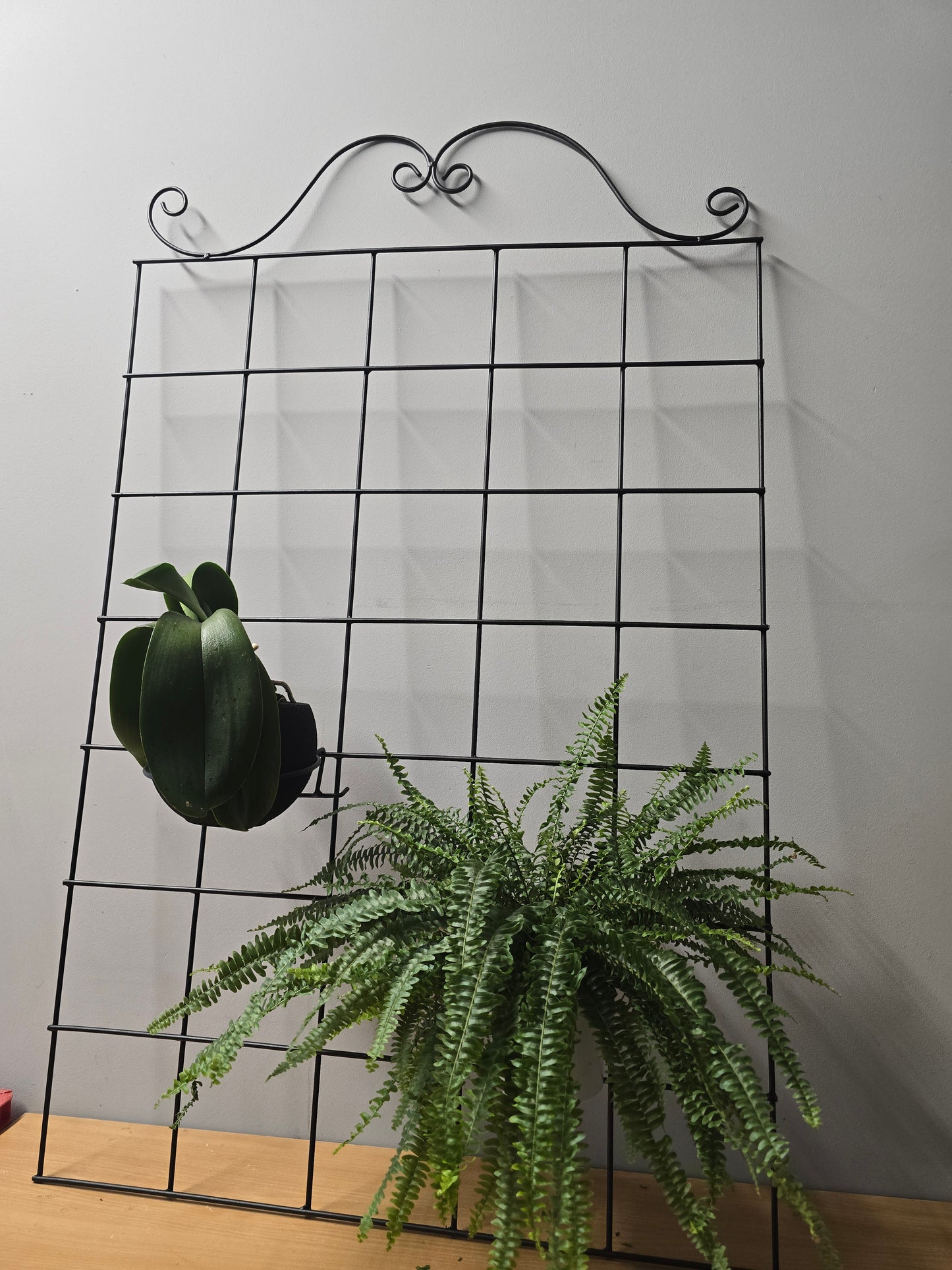 Black Steel Wall Grid Plant Holder, Vertical Garden Trellis with Pot Holders