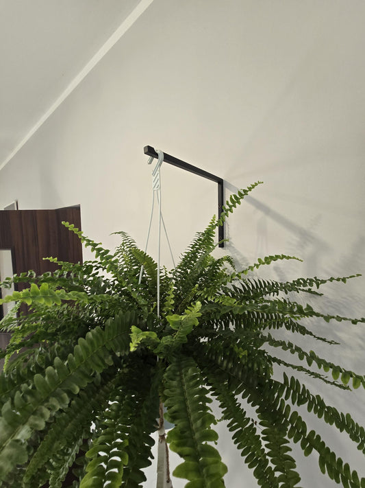 Industrial Black Wall Plant Hanger, Modern Hanging Planter Hook, Powder-Coated Steel Plant Holder